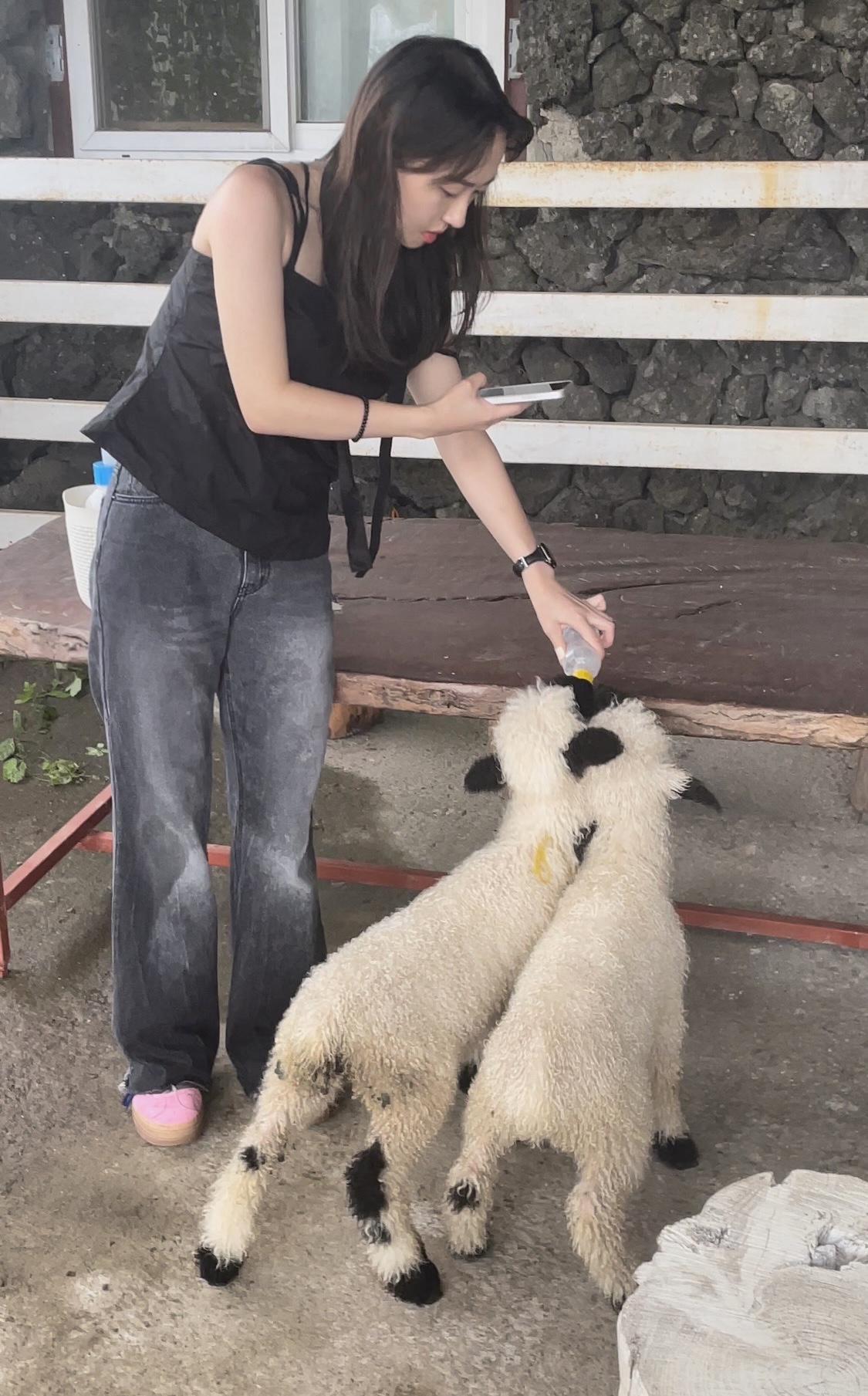 제주_여행_사진_1